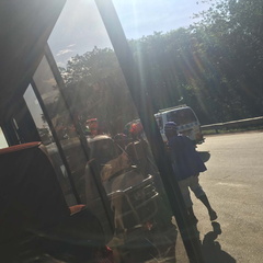 IMG 1353