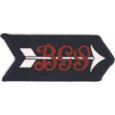 BGS Arrow Badge